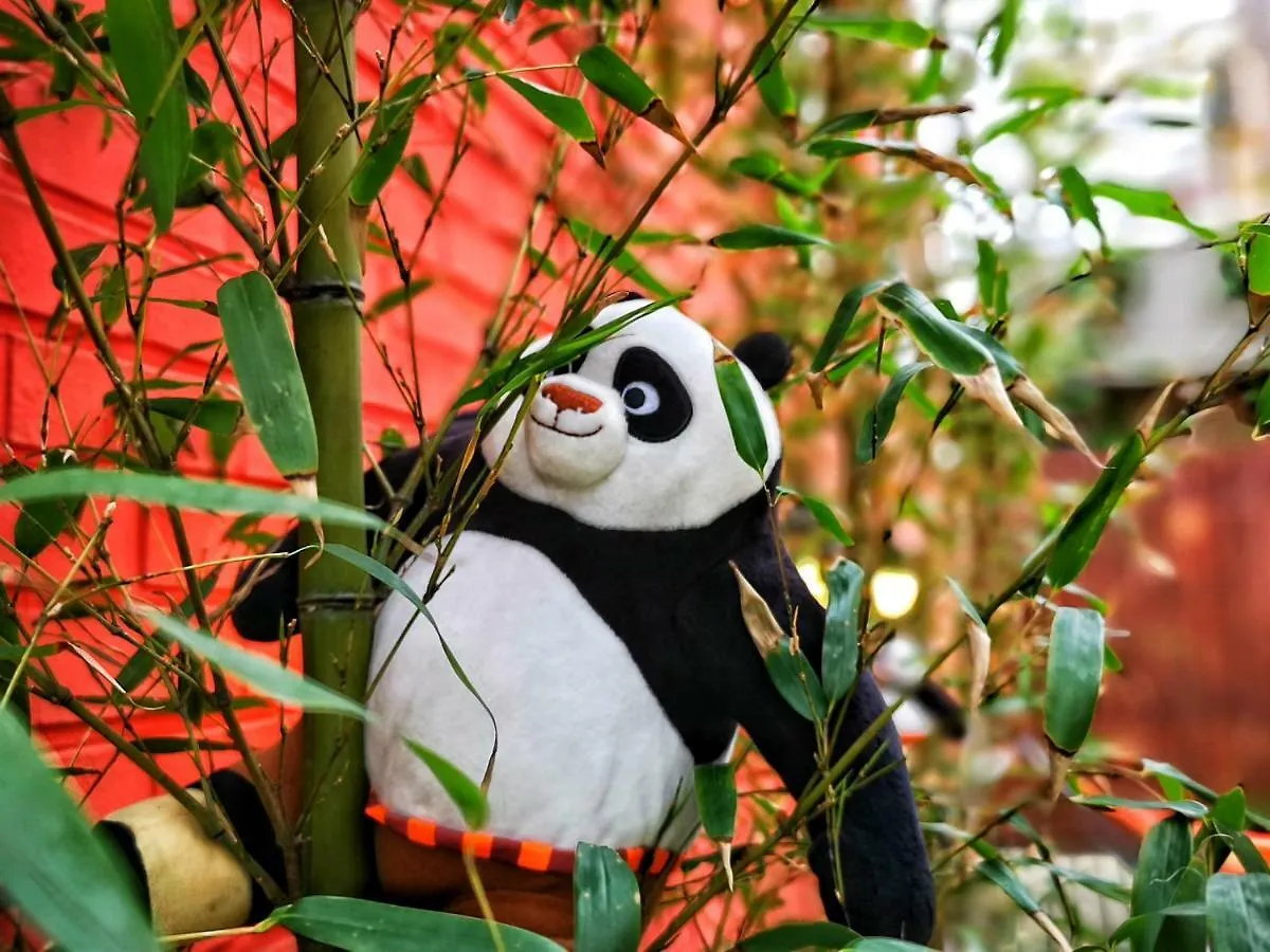 Guest house Twin Panda Guesthouse Seoul South Korea
